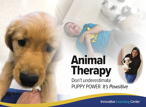 Animal Therapy - Don't underestimate Puppy Power - It's Pawsitive